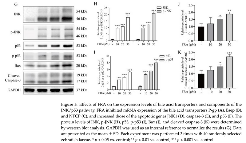 35566003 ET1601-4.png