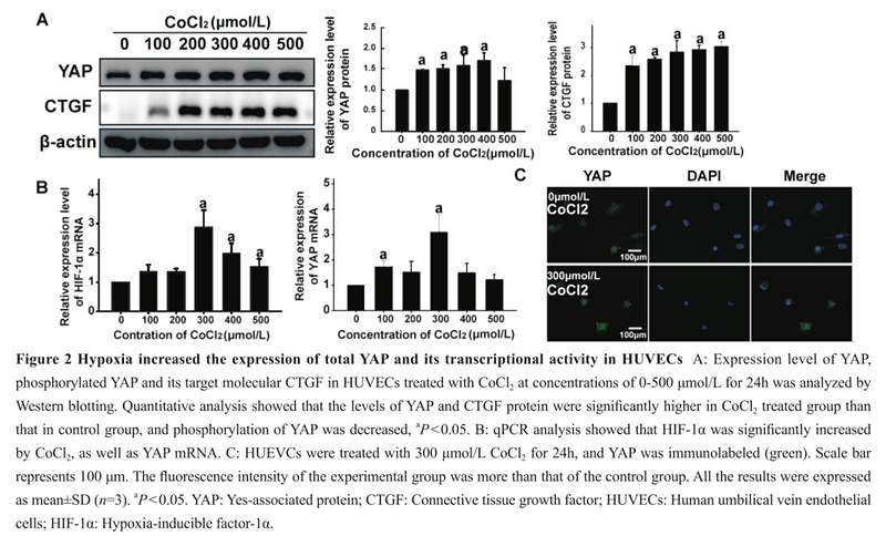 35601164 ET1608-30.png