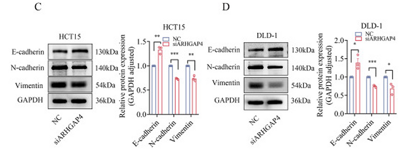 Jiang Shuanghong,et al-7.png