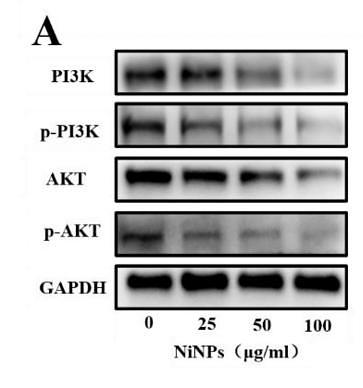 35150872 ET1609-51.jpg