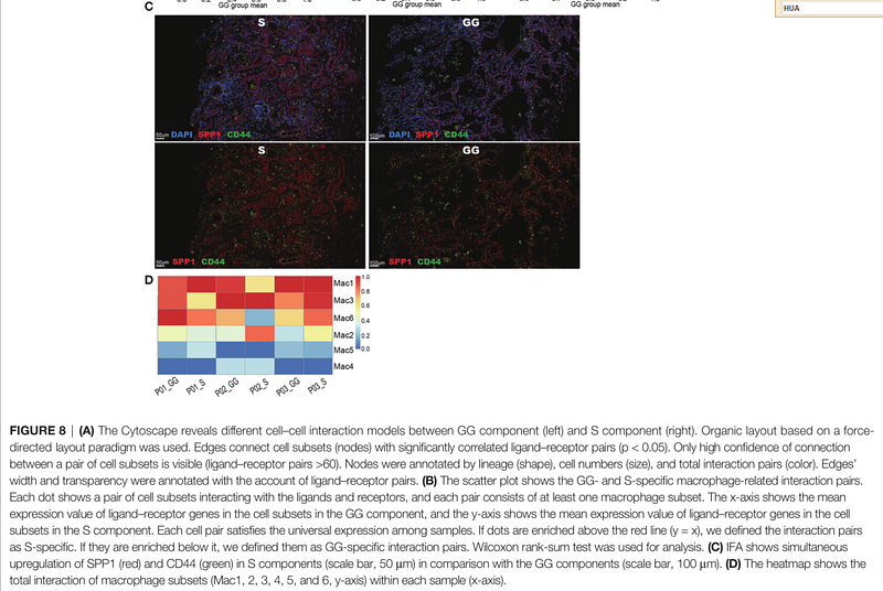 35874770 ER1802-16.png