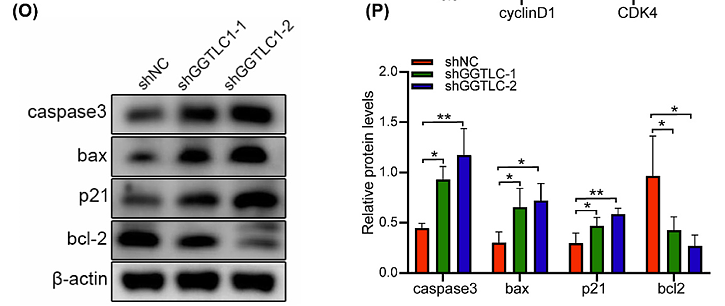 Tang Xiaolin,et al-1.png