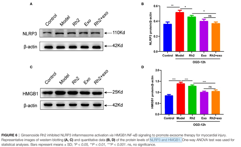 35865525 ET1601-2.png