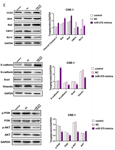 34626803 ET1609-51.png