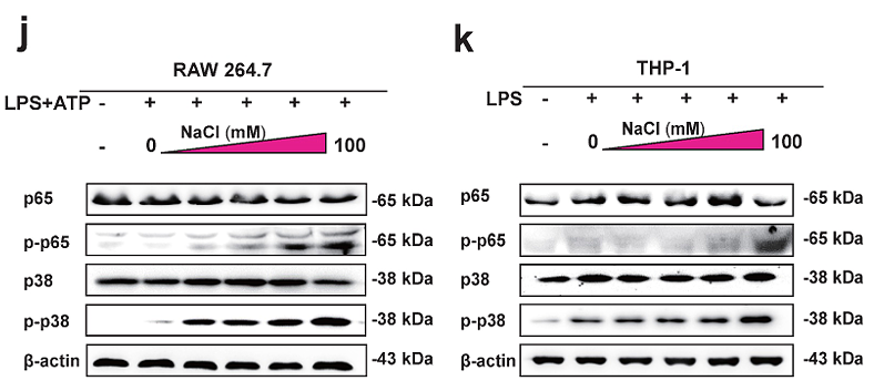 Zhang Xianzheng,et al-2.png