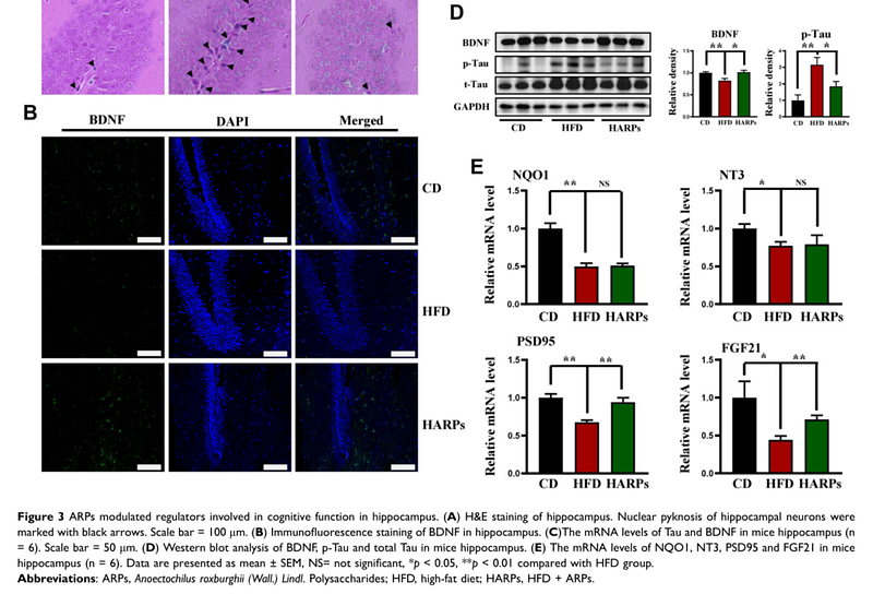 35762015 ET1610-31.png