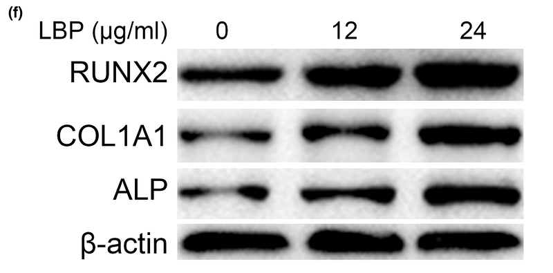 36250230 ET1612-47.png