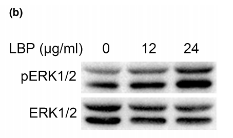 36250230 ET1601-29.png