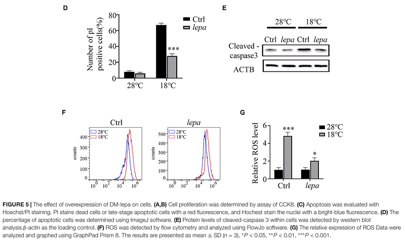 34975517 ET1602-47.png