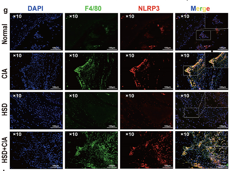 Zhang Xianzheng,et al-1.png