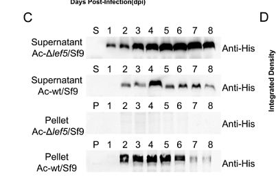 36709001 R1207-3.png