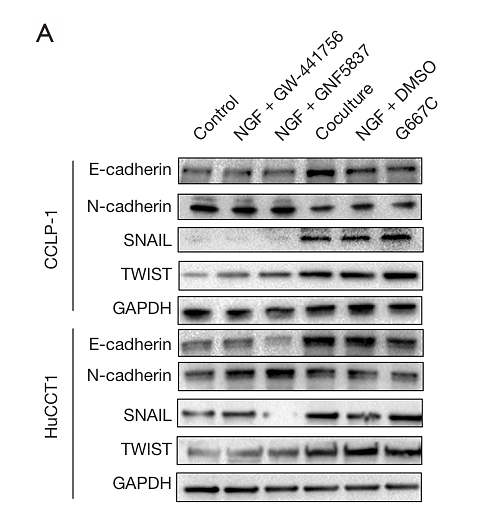 Qian Xingwang,et al-3.png