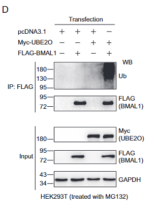 29871923 M1403-2.png