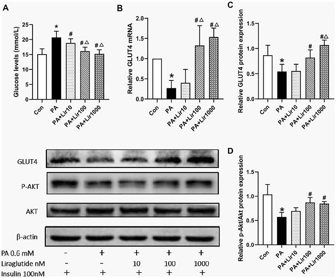 37296162 ET1609-51.jpg