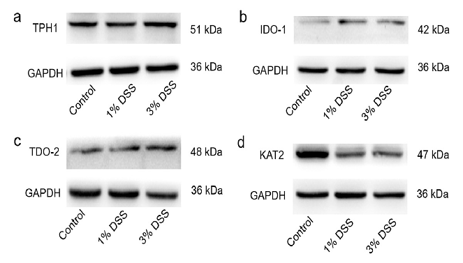 36758839 ET1610-37.png