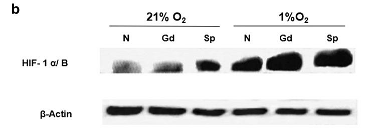 31595407 EM21002.jpg