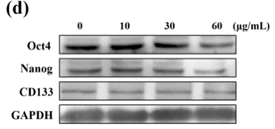 36473370 ET1610-39-1.png