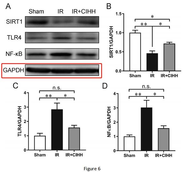 31173783 ET1601-4.jpg