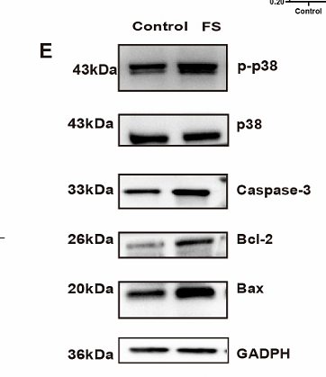 Li Xinhao,et al-1.png