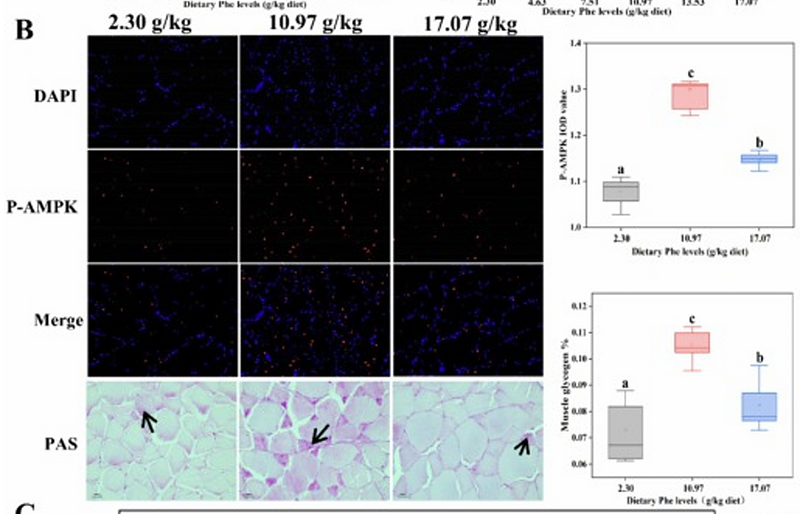 Han Jingfeng,et al-1.png