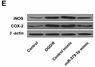 32494142 ET1610-23.png