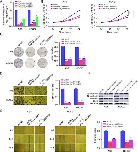 37435216 ET1610-39.jpg