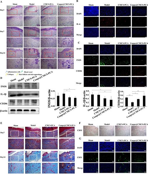 37361387 EM21002.jpg