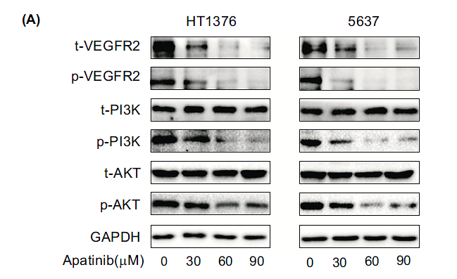 36852790 ET1607-73.png