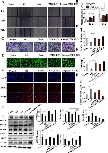 37361387 ET1607-35.jpg