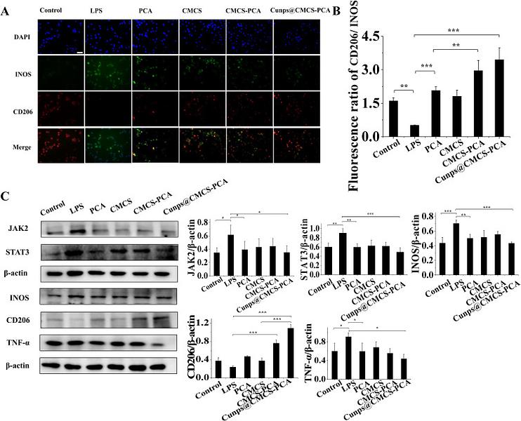 37361387 ET1607-38.jpg