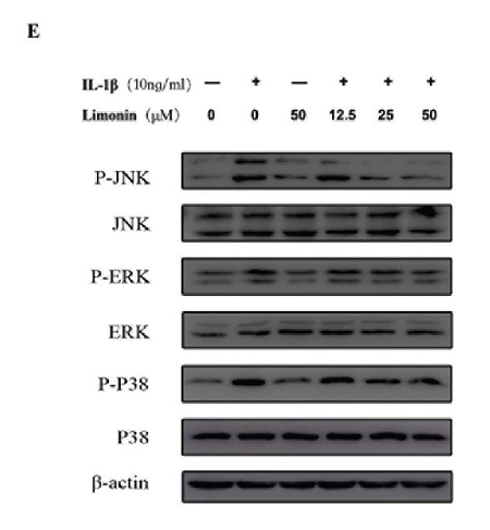 36856818 ER2001-52.png