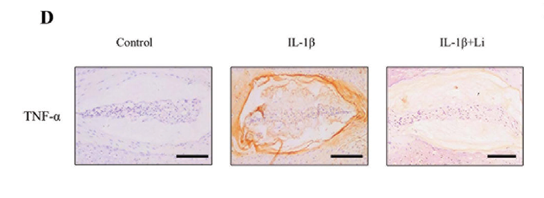 36856818 ER65189.png