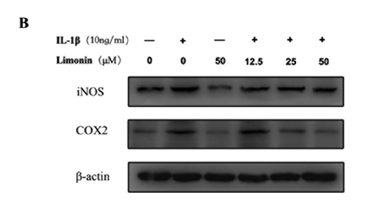 36856818 ET1610-23.png