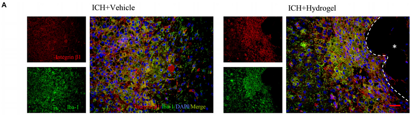 32760708 ET1601-17.png