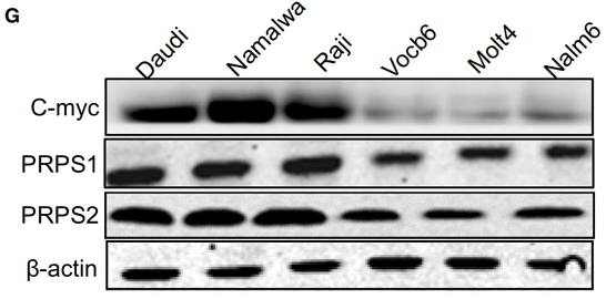 32391636 EM21002.png