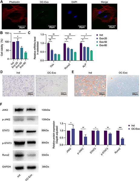 37441084 ET1603-40.jpg