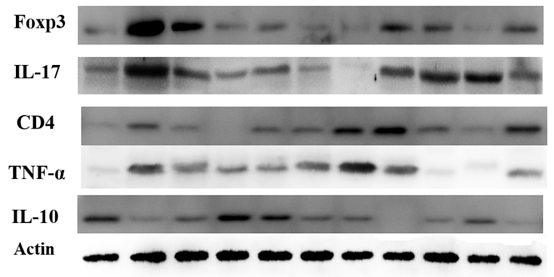 31843701 ER1919-22.png