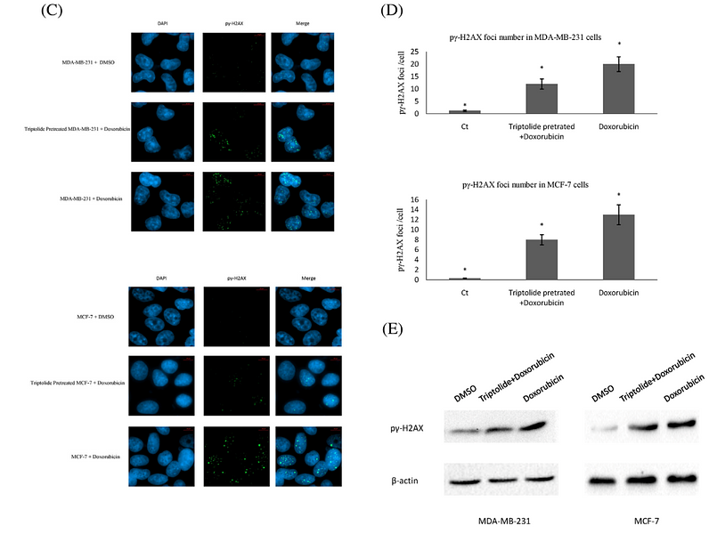 往年补图-29500880- ET1602-2.png