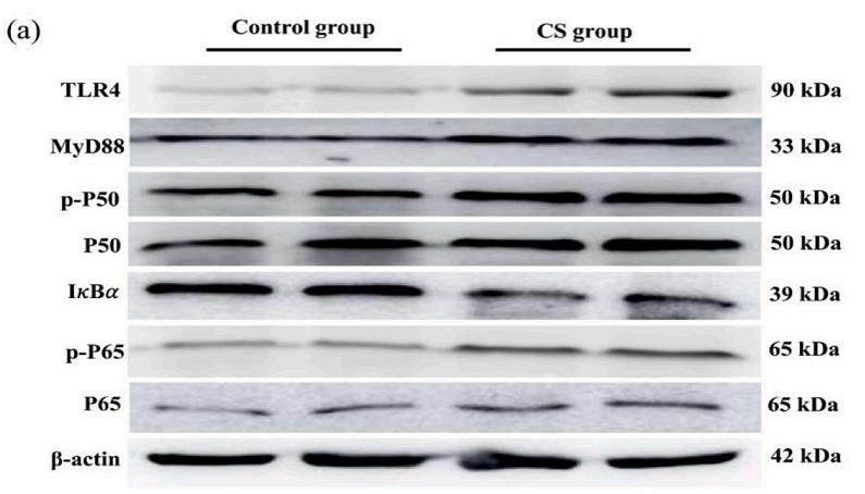 34998273 ET1603-12.png