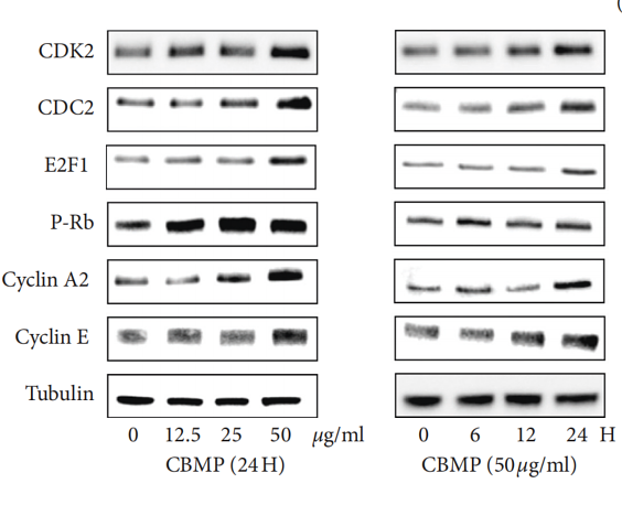 32774408 ET1612-26.png