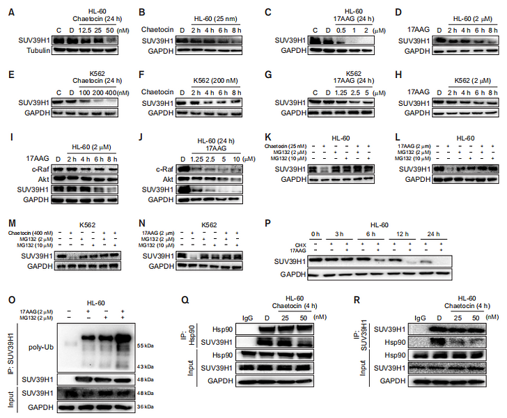 33162400 HA721136.png