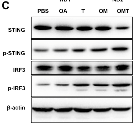 Ge Yanni,et al-3.png