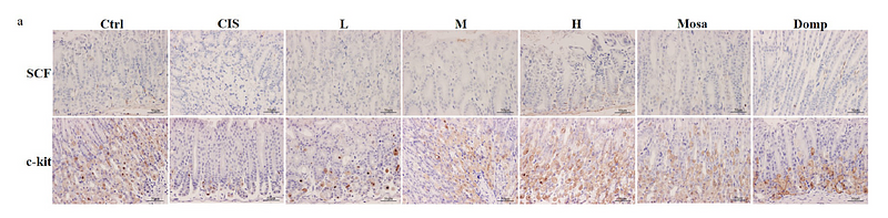 36806345 ET1610-77.png