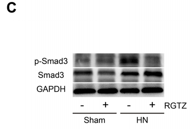 32606592 ET1607-41.png