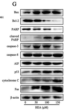 32823628 HA721235.png