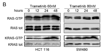 30429107 ET1601-16.png