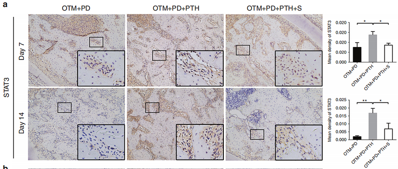 33380723 ET1607-38-1.png