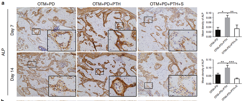 33380723 ET1601-21.png