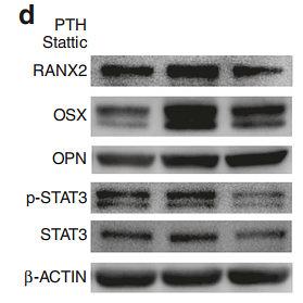 33380723 ET1612-47.png