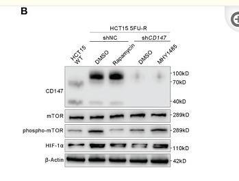 35898887 ET1608-5.png